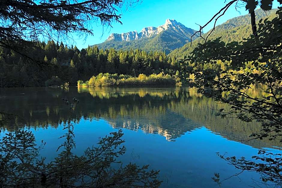 Alpenhof Wängle