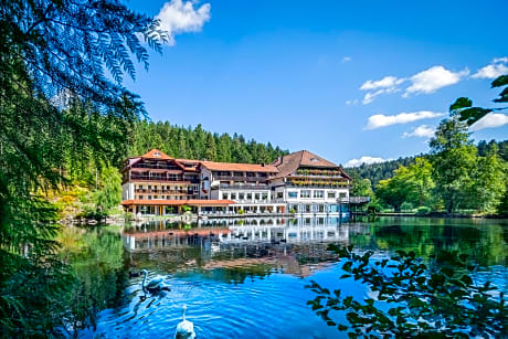 Hotel Langenwaldsee
