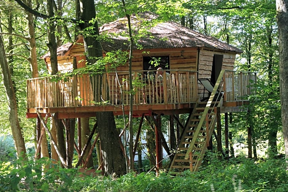 B&B La Cabane du Bois Dormant