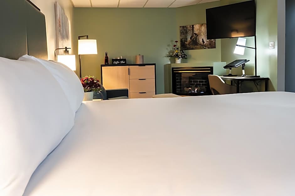 Photo 1 of 5 of Executive 1 King Bed