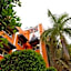 City Backpackers HQ