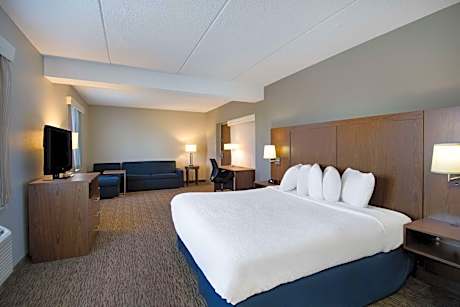 King Suite with Roll-In Shower, Sofa Bed and Balcony - Disability/Non-Smoking