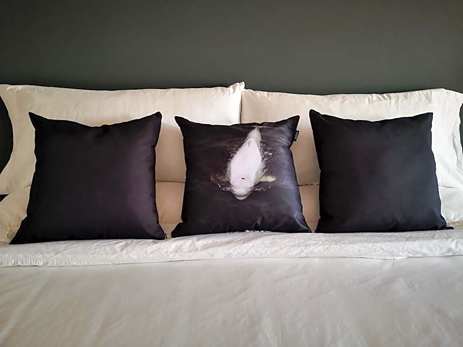 Au Cachalot Caché le gîte hôtel