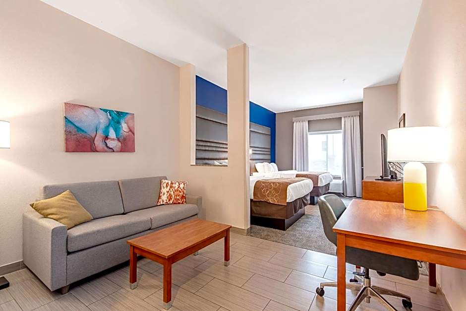 Comfort Suites Denham Springs