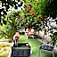 Villa Bellabé