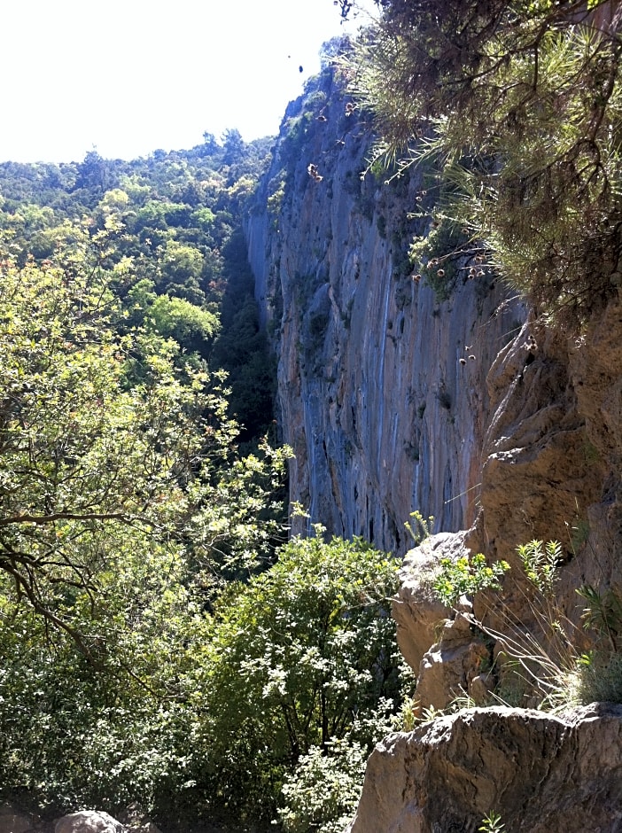 Olympos Mitos