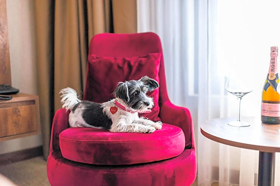 Amsterdam Hotel