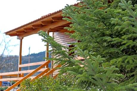 Junior Suite with Garden View