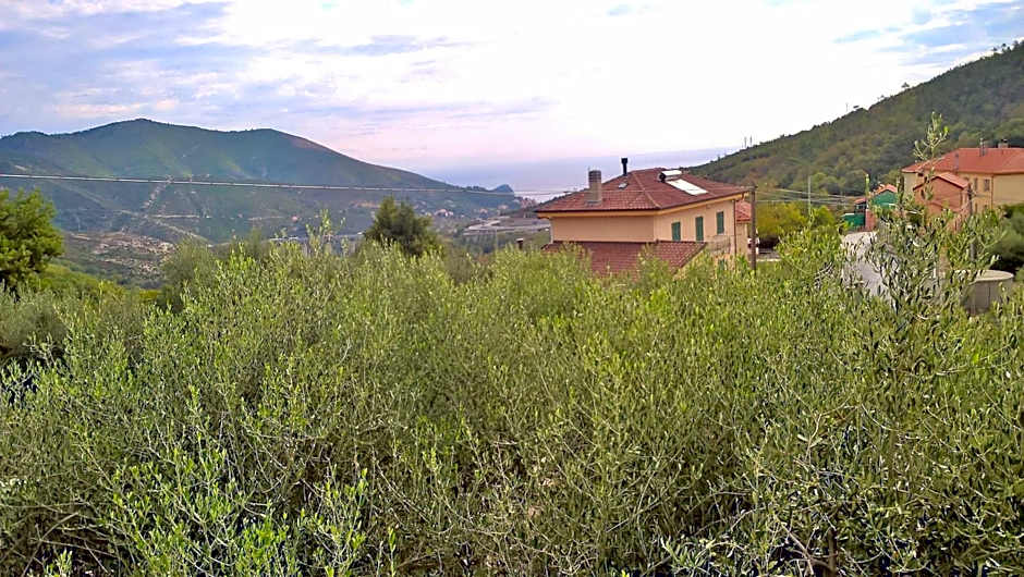 B&B Elfo degli Ulivi