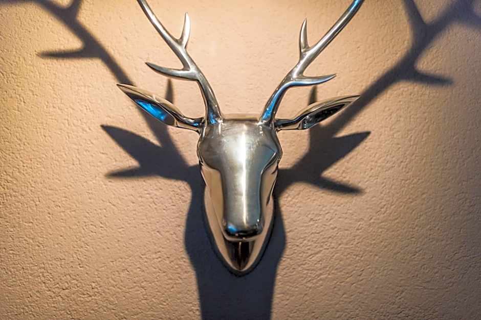 Ski-IN Ski-OUT Hotel Sonnleiten