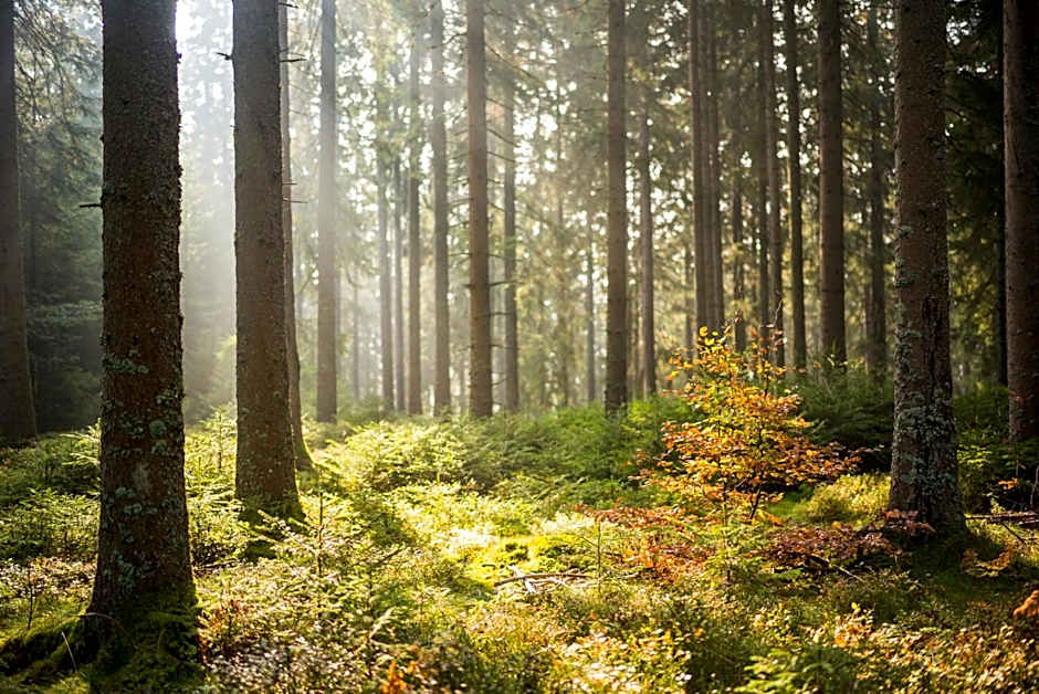 BRUGGER'S Hotelpark am See