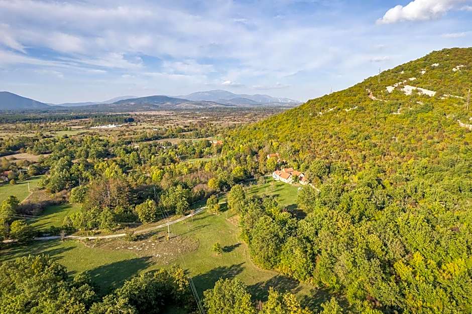 SOKOL - Secret forest house