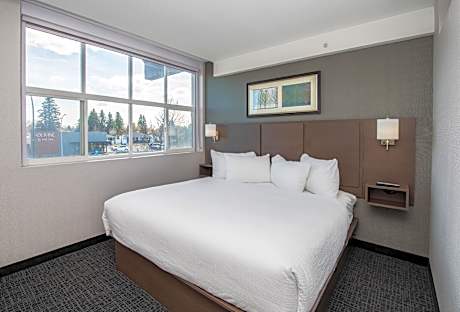 Coast Premium King Suite