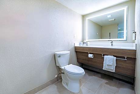 1 King Suite Sofa Bed Rain Shower and Separate Tub