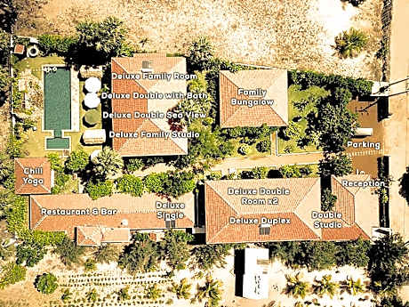 Dream Garden
