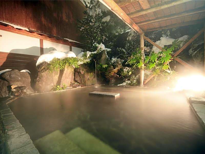 Yudanaka Seifuso Hotel