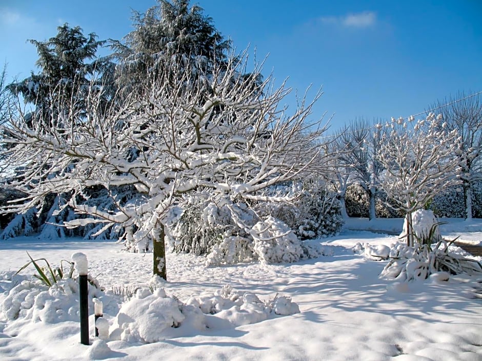 Chambres d'Hôtes Le Mûrier