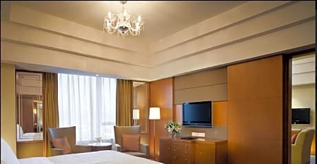Horizon Premier Room 1 King