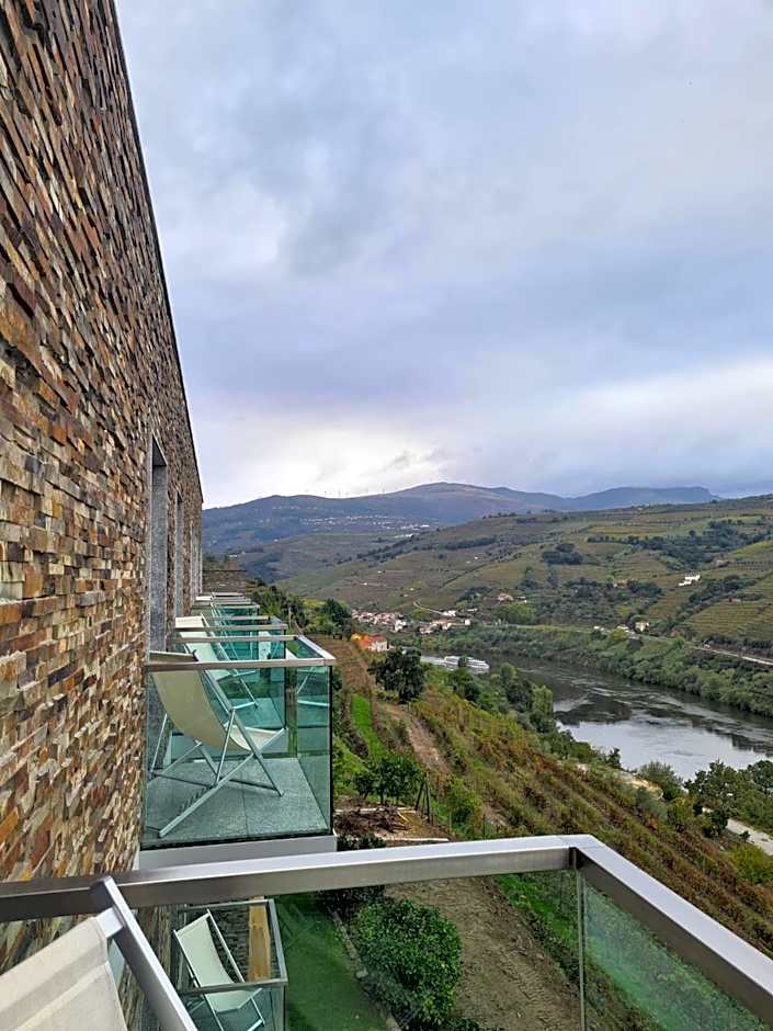 Delfim Douro Hotel
