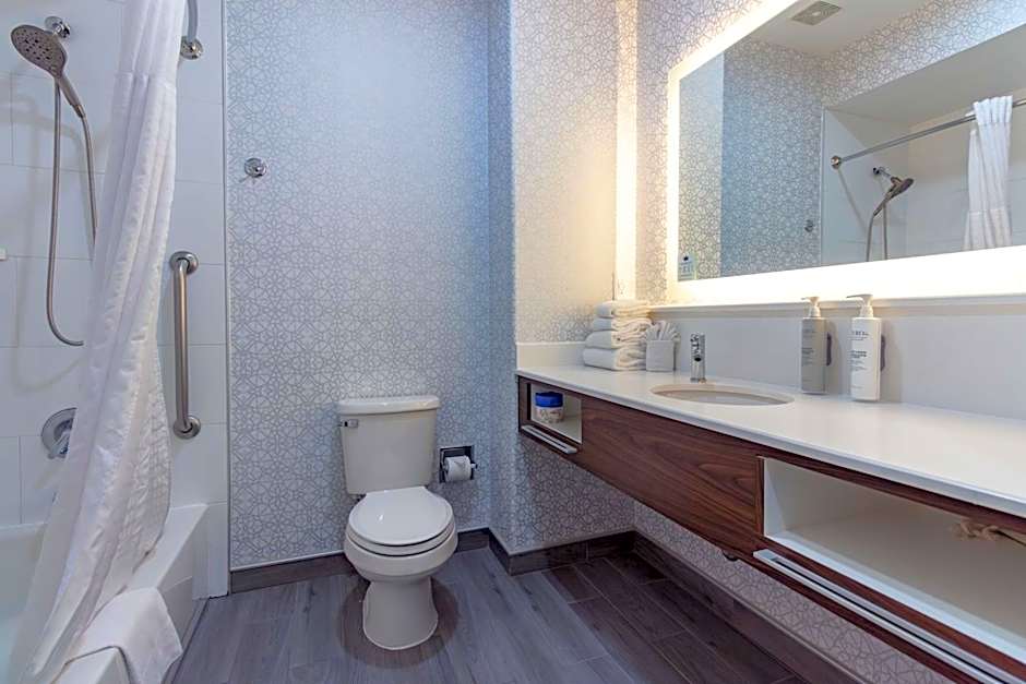 Hampton Inn By Hilton & Suites Denton