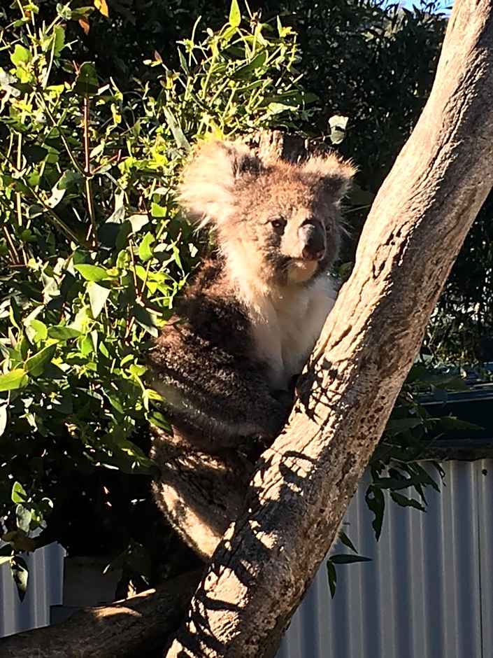 The Ark Stanley Luxury Bed and Breakfast