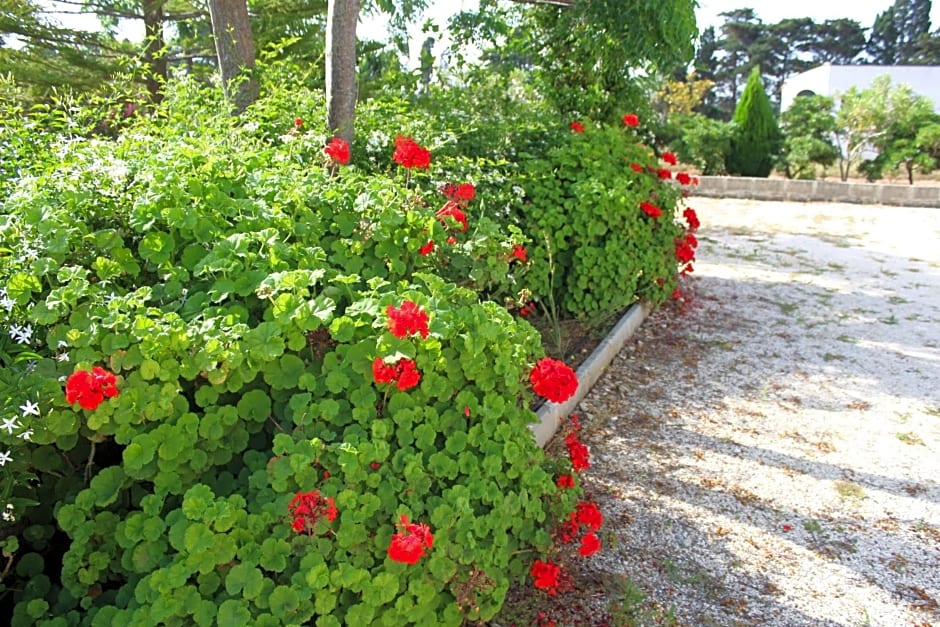 La Lanterna delle Fate