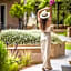 Thalassa Boutique Hotel - Adults Only