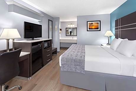 1 King Bed Non-Smoking
