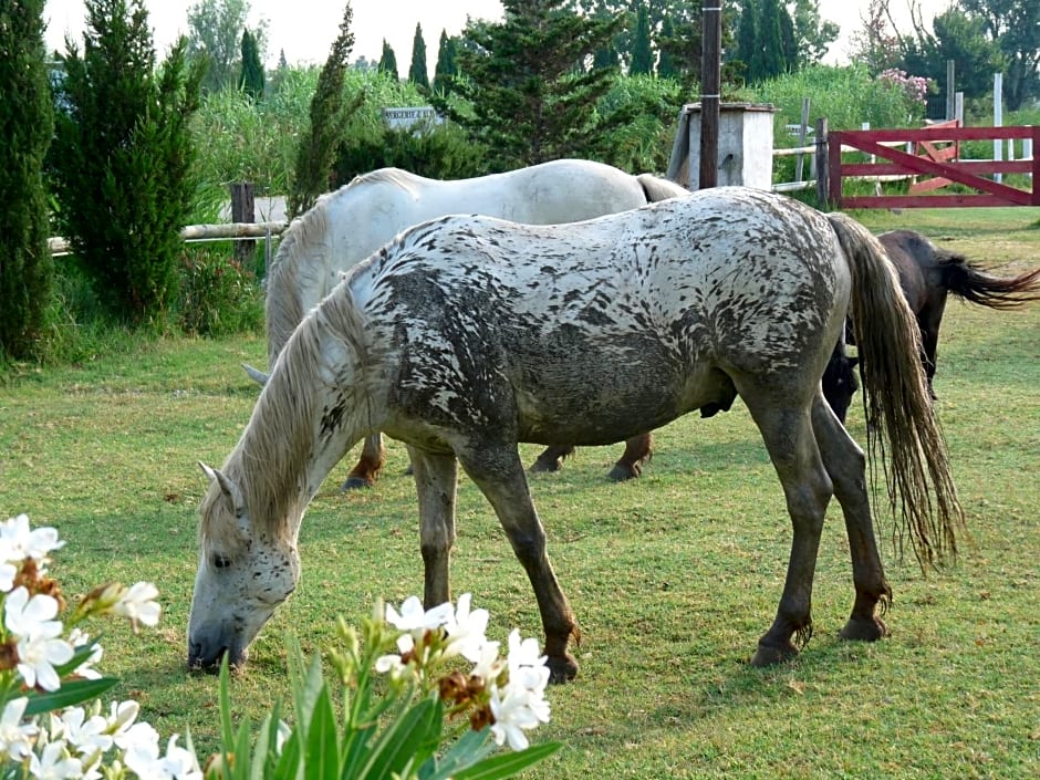 Bergerie d'Alivon en Camargue