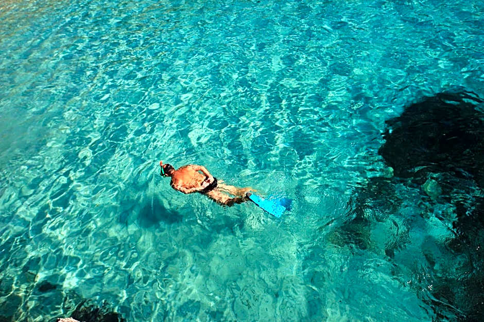 Aparthotel Niu d´Aus