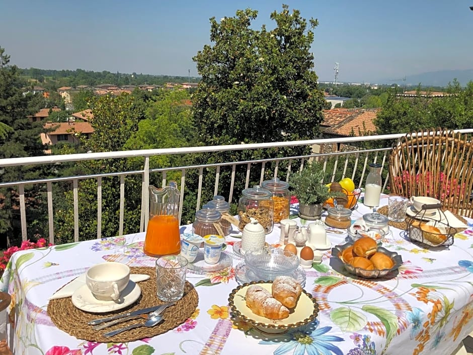 Villa House and Garden B&B