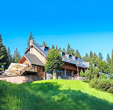 Horský hotel Vidly
