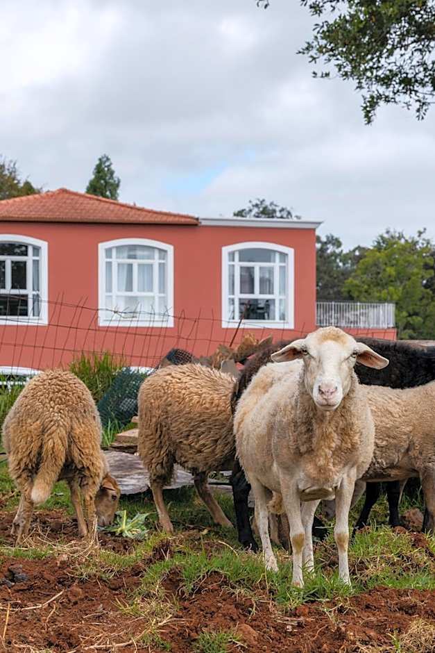 Enotel Santo da Serra