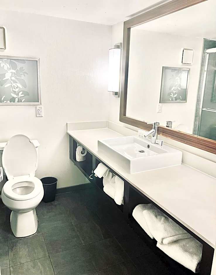 Holiday Inn Virginia Beach - Norfolk By IHG