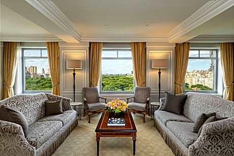 Central Park Suite, Club lounge access, 1 Bedroom Signature Suite, 1 King, Sofa beds: 3