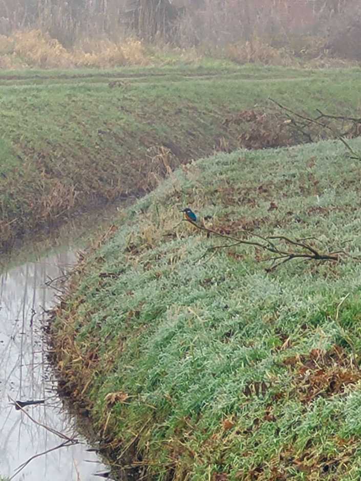 Hotel Garni Kastanjehoff