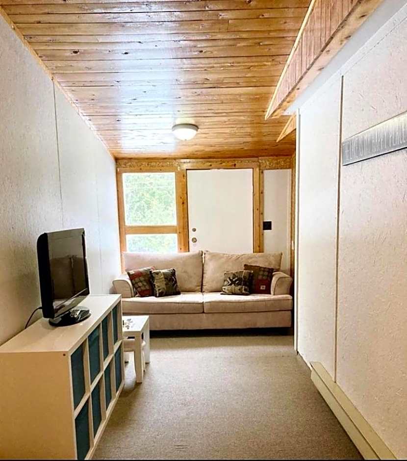 Cozy Pet Friendly Getaway W Fireplace