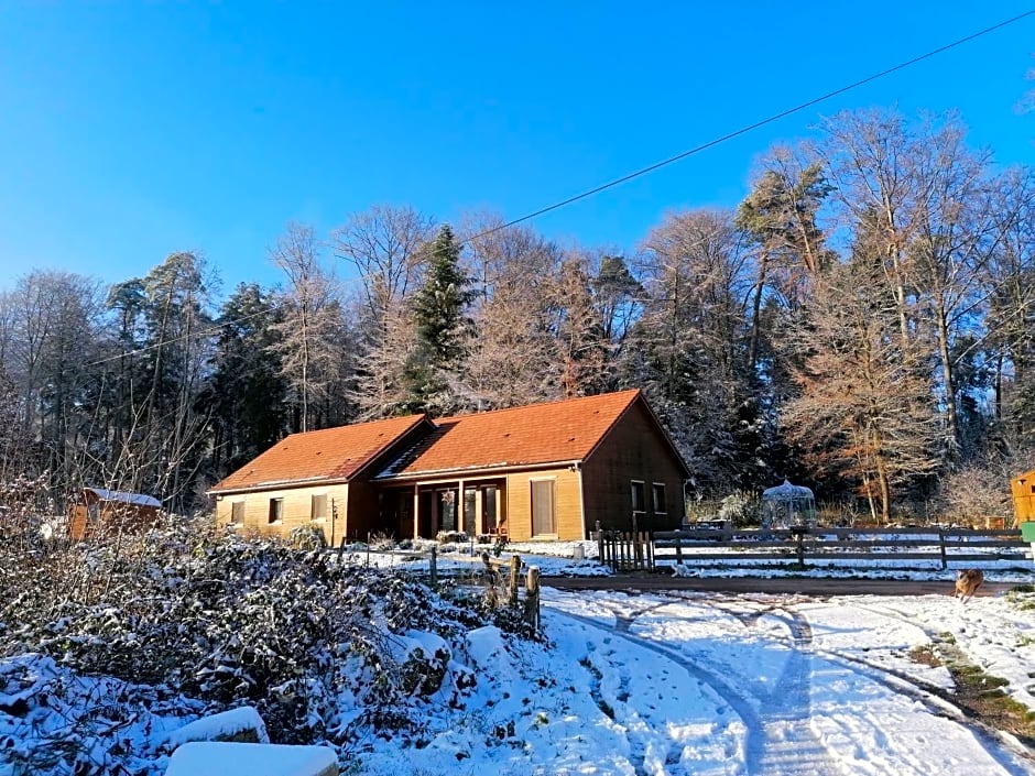 Vosges Chambres d'hotes