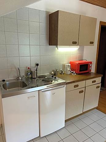 One-Bedroom Apartment with Lake View