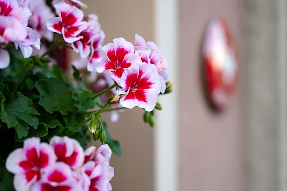 Hotel-Restaurant Eyholz