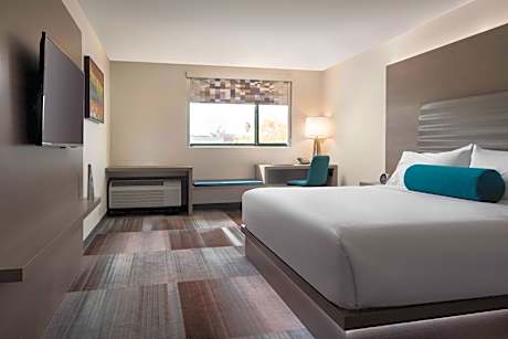 Traditional, Guest room, 1 King, No view