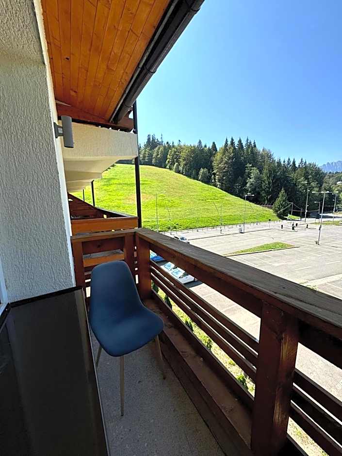 Cabana Fulg De Nea Predeal