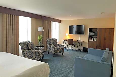 1 Bedroom Suite, 1 King