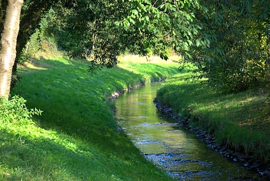 AKZENT Land-Hotel Zum Schwan, Garni WEILERSWIST-METTERNICH, 3 E-LADESTATIONEN, Nähe PHANTASIALAND, PALMENPARADIES Euskirchen