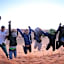 Desert Camel Trekking Camp
