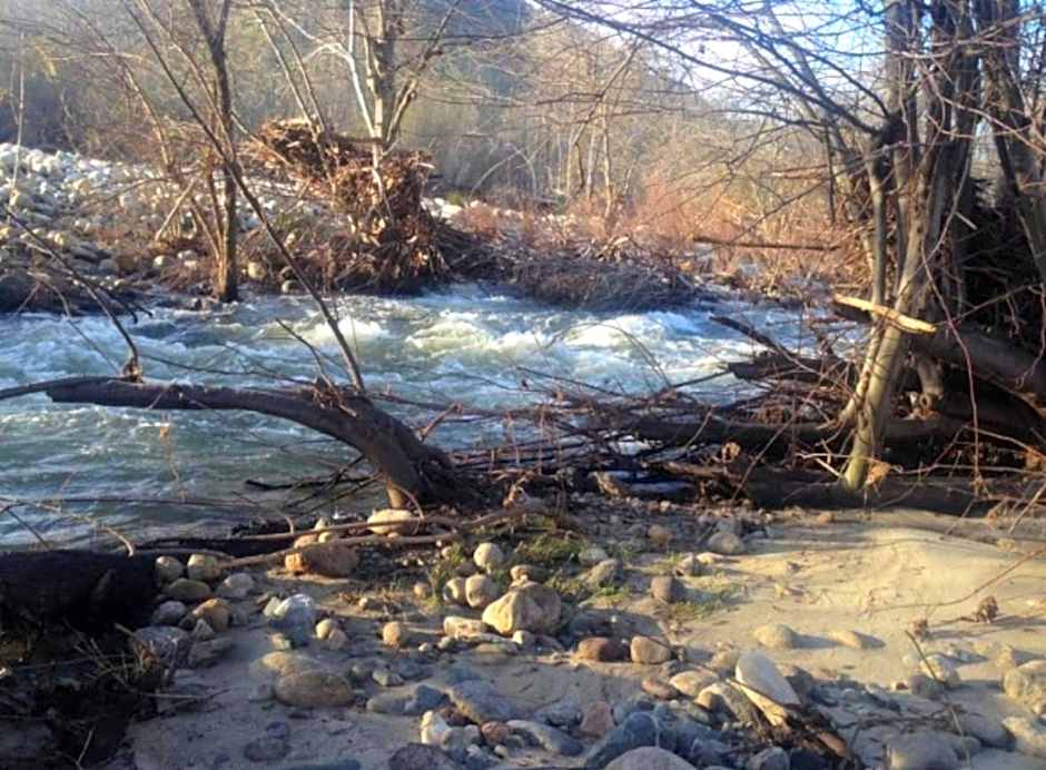 Sequoia River Front Cabins