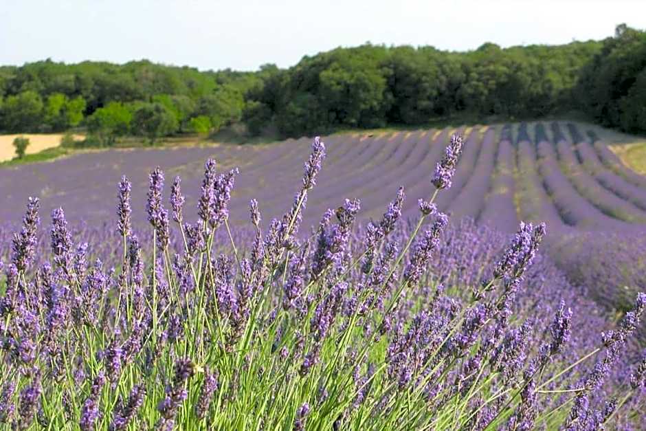 Du rêve Ô naturel - Maison de vacances entre Gorges de l'Ardèche et Gard