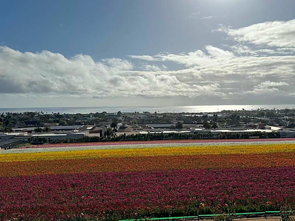 Holiday Inn Express Hotel & Suites Carlsbad Beach By IHG