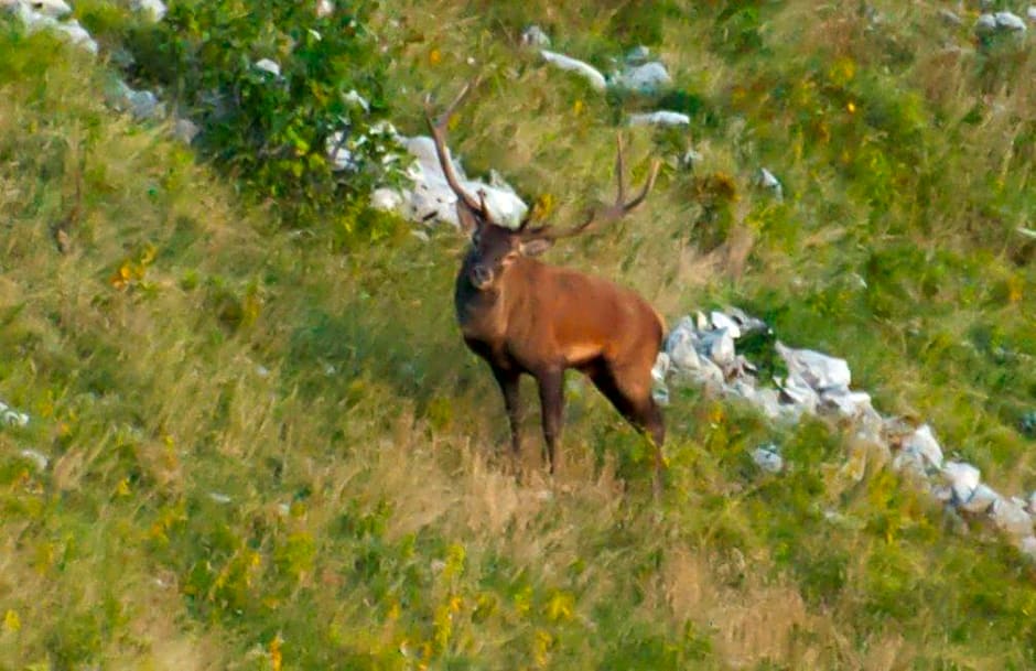 B&B La casa dei nonni