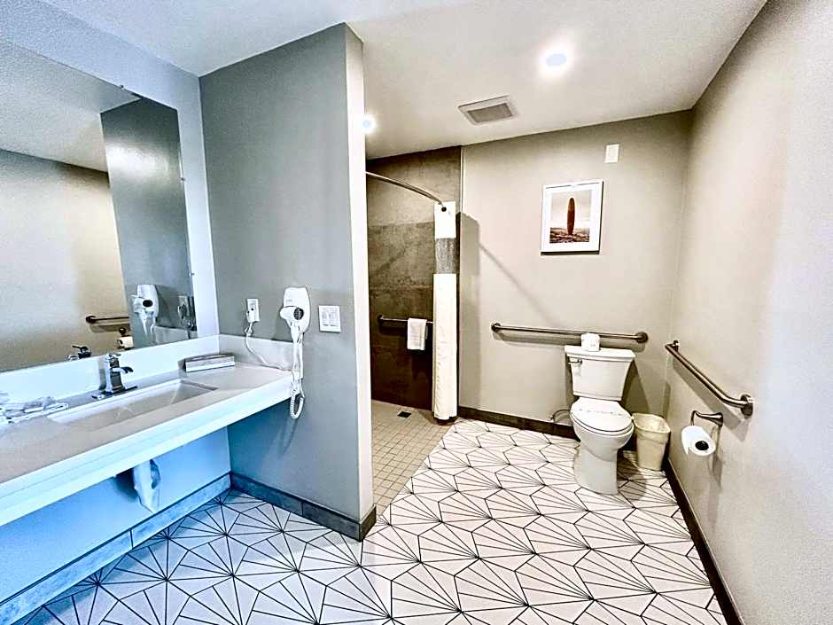 Alamo Inn and Suites - Convention Center